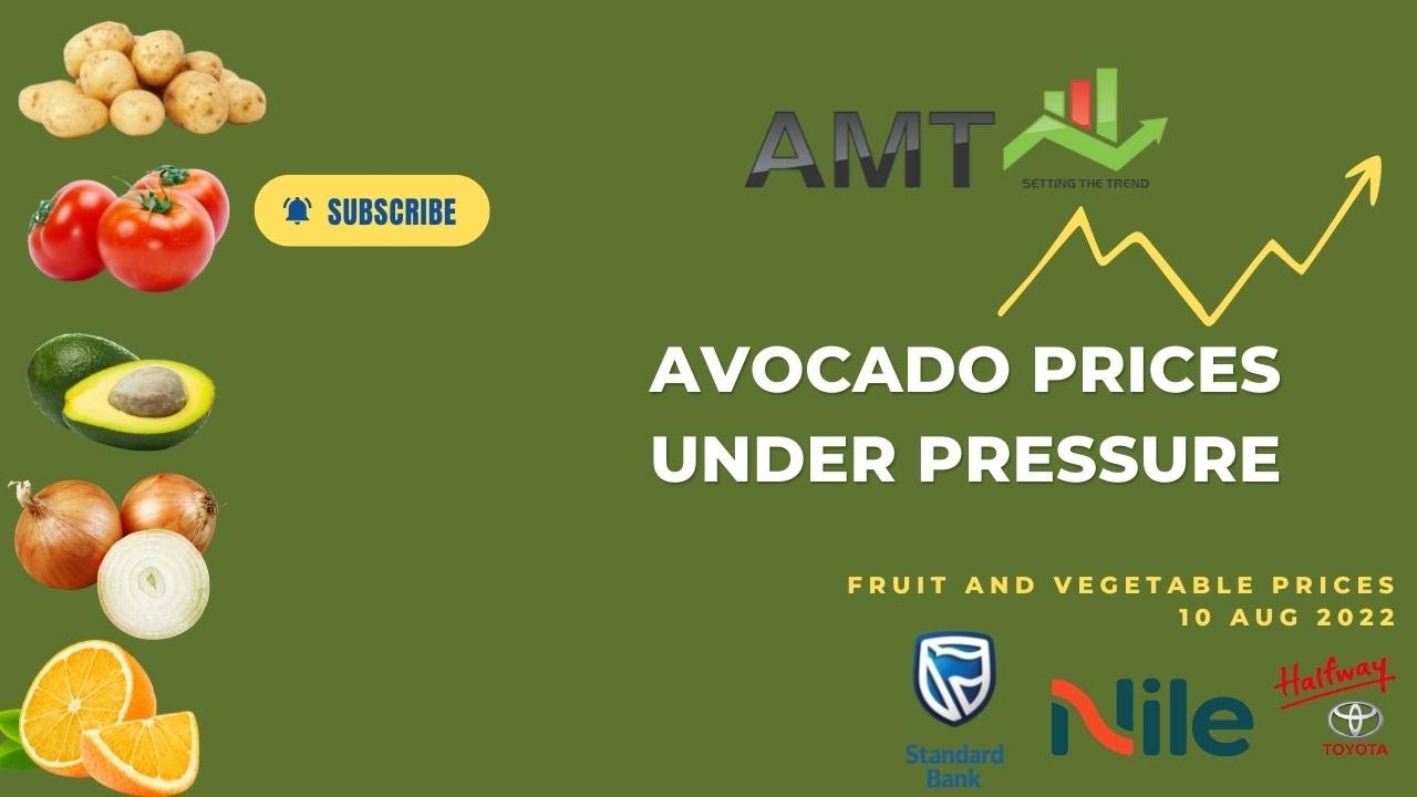Avo volumes 157% higher | 10 Aug 2022 | AMT Fresh Produce Outlook - YouTube