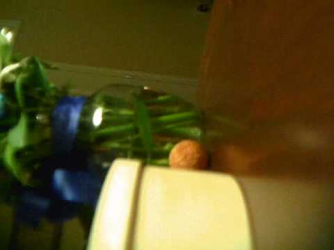Rolling Sesame Ball: The Movie