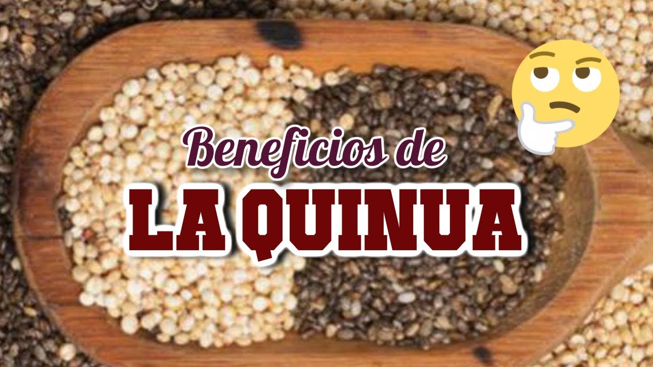Todo Sobre La Quinoa Propiedades Y Beneficios De La Quinua Para La