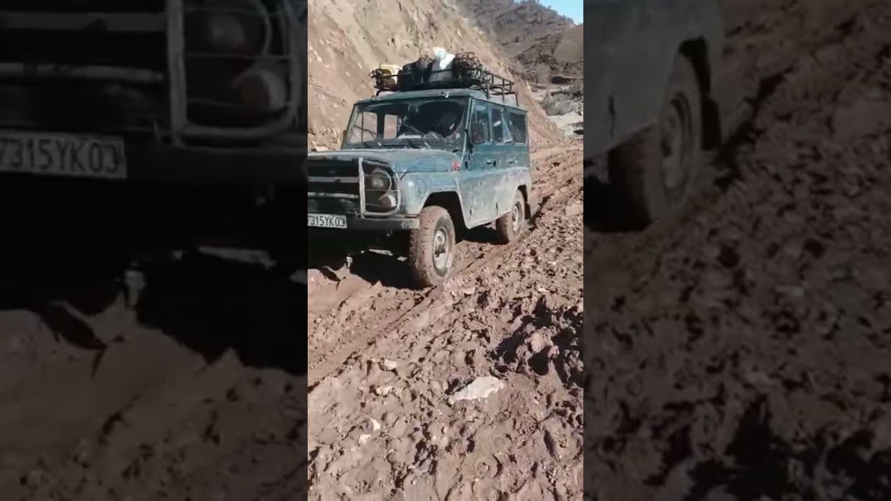 Амирчони сарихосори дар сафеднул