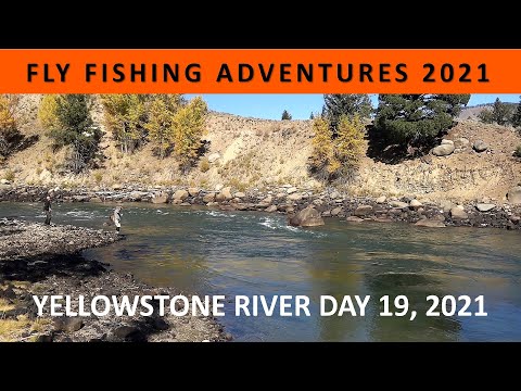 FLY FISHING ADVENTURES 2021: Day 19 to Yellowstone River in October [Episode #19]