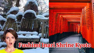 Secret Fushimi Inari Shrine Tour, Travel Japan, Kyoto Trip, 伏見稲荷大社