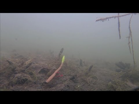 midwestbasshunter post: What do Fishing Lures Look Like Underwater??? (PT. 3) | Underwater Lure &hellip;
