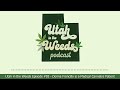 Donna Froncillo is a Medical Cannabis Patient | Utah in the Weeds #93
