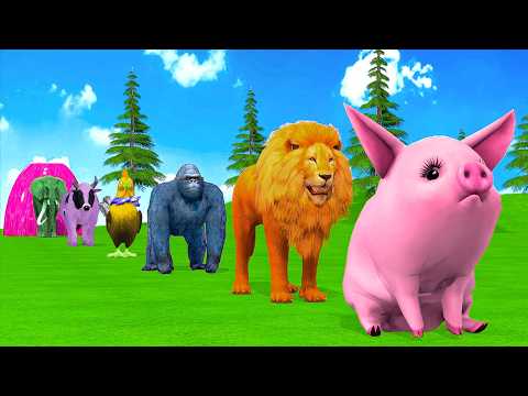 Long Slide Game With Cow Elephant Gorilla Hippopotamus Tiger 3d Animal Game Funny 3d Animals