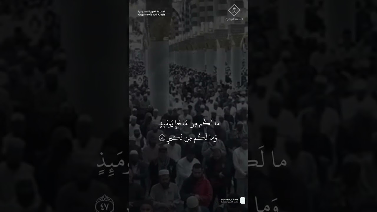 مقتطف من تلاوة الشيخ #صلاح_البديرمن عشاء 22 رجب 1446هـ
