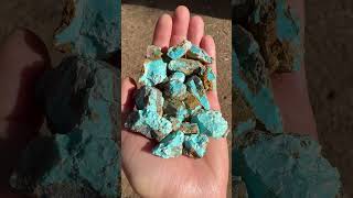 Sierra Nevada Turquoise This Rough Is Not For Sale