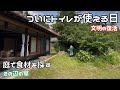 #2【ついに水が出た】トイレの完成と、庭で食べられる草を探す【田舎暮らし】