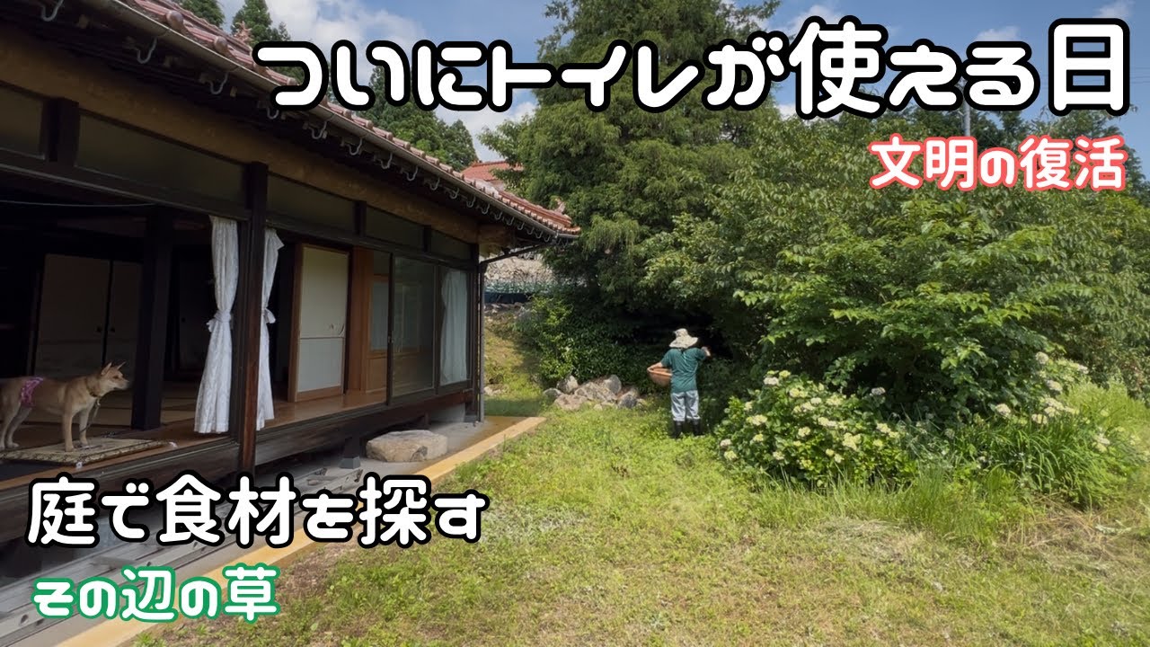 Room Tour] Bought a one-story house with a farm and storehouse in