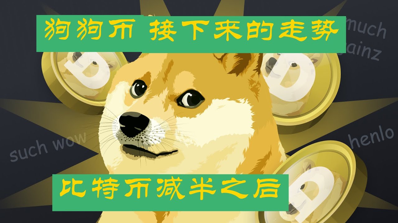 狗狗币社区大佬分析比特币减半之后：DOGE后续走势行情，doge本轮能够涨到多少？马斯克和推特X平台对于狗狗币的赋能！ #dogecoin -  YouTube