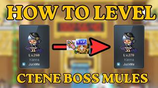 How I level Ctene Mules to 270 | Maplestory