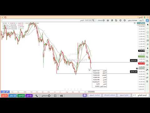 تحليل المؤشر العام للسوق السعودي تاسي