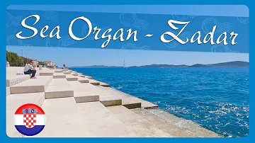 The Sea Organ 🌊 Zadar - Croatia