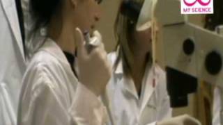 My Science In Gödöllő, Hungary