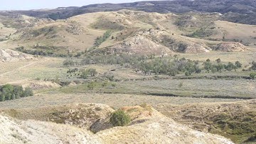 The Importance of Range Monitoring