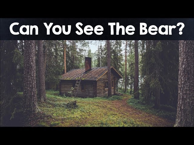 Nobody Can See All The Hidden Animals । Optical Illusions । Brain Teasers class=