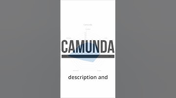 Camunda compared to other BPMS