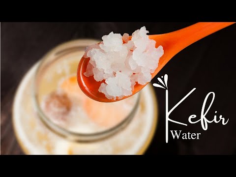 Video CÁCH NUÔI NẤM NƯỚC KEFIR LÀM BIA TRÁI CÂY | THỨC UỐNG... - youtube