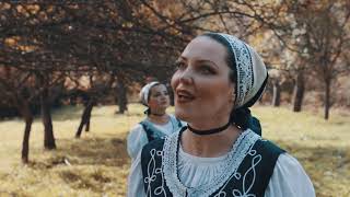 Spevácka skupina ROSA z Prešova   Šedzelo dzievčatko