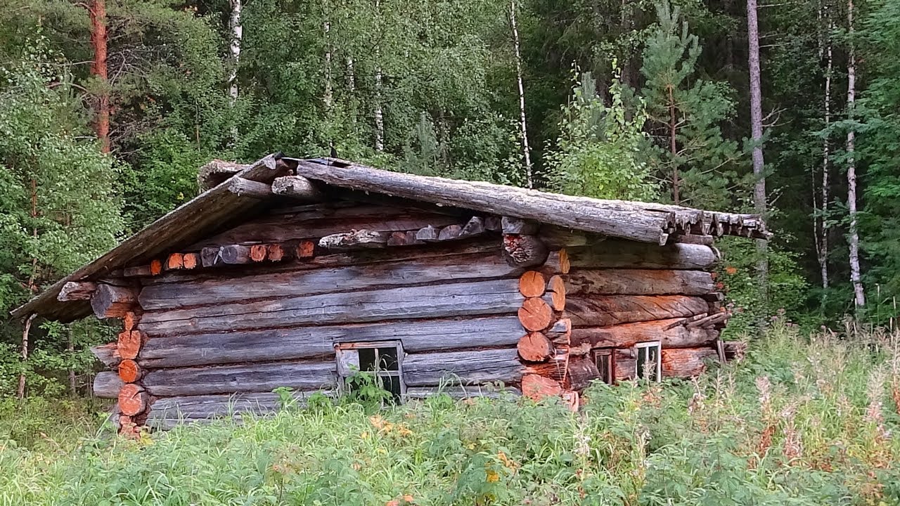 Жизнь в глухой тайге видео. Лесная изба. Жизнь в тайге. Жизнь в тайге в глухих лесах. Лесная избушка.