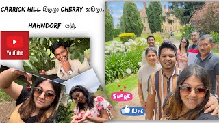 Adelaide වල Historical Place එක and චෙරි වත්ත.