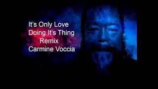 It&#39;s Only Love Doing Its Thing Remix Carmine Voccia