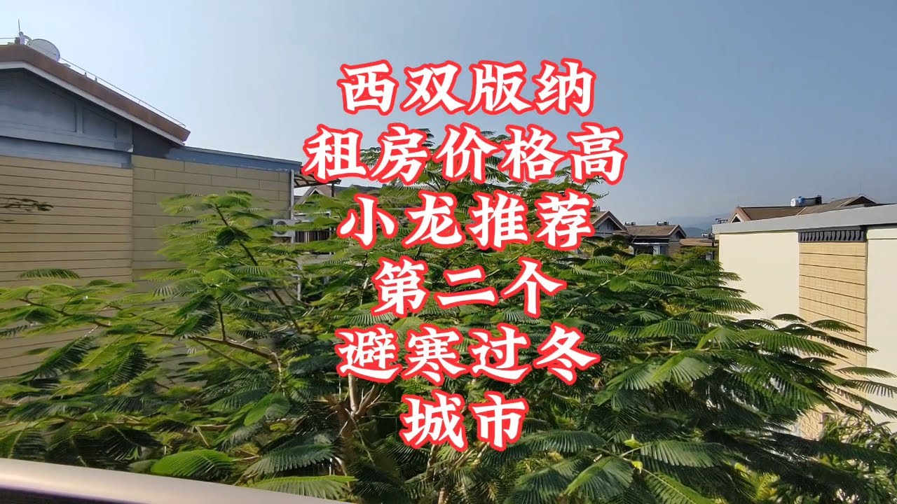 【小龙在版纳】西双版纳，租房价格高，小龙推荐第二个，避寒过冬城市。2024-1-18 - YouTube