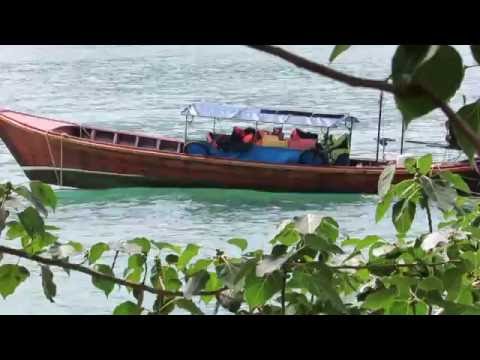 Видео: Далайн эргийн загасны бялуу