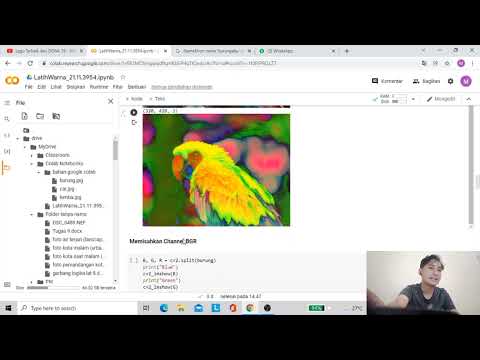 Menganalisa ruang warna gambar menggunakan Google Colab