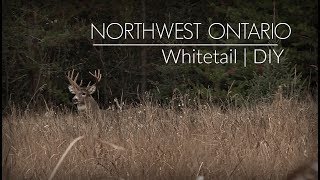 Ontario Whitetail Hunt || DIY || Public Land Deer Hunting