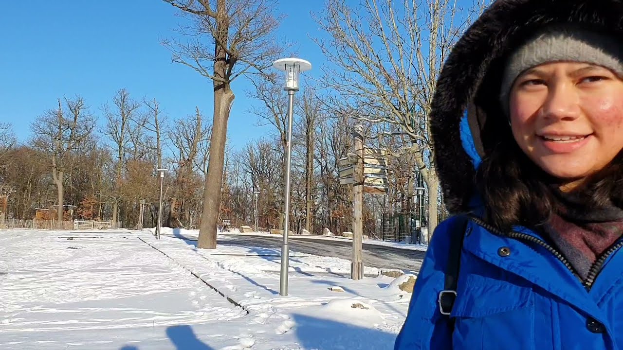 Germany City Trip 🇩🇪 Thale Harz Im Dezember 2021  Hexentanzplatz und Rodelbahn