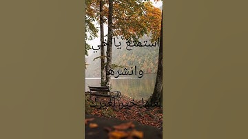 تخيل جمال المحاكاه ❤️ #قرآن #اكسبلور #المصحف #تلاوة_خاشعة #راحة_نفسية #تيك_توك #حالات_واتس #لايك