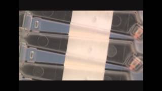 Tutorial: How to Inspect a Cassette for the Pippin Prep or BluePippin