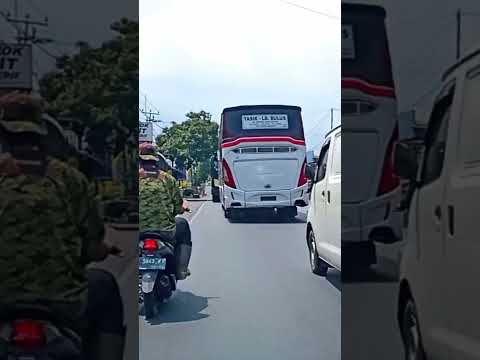 kejar kejaran bus merdeka vs bus primajasa