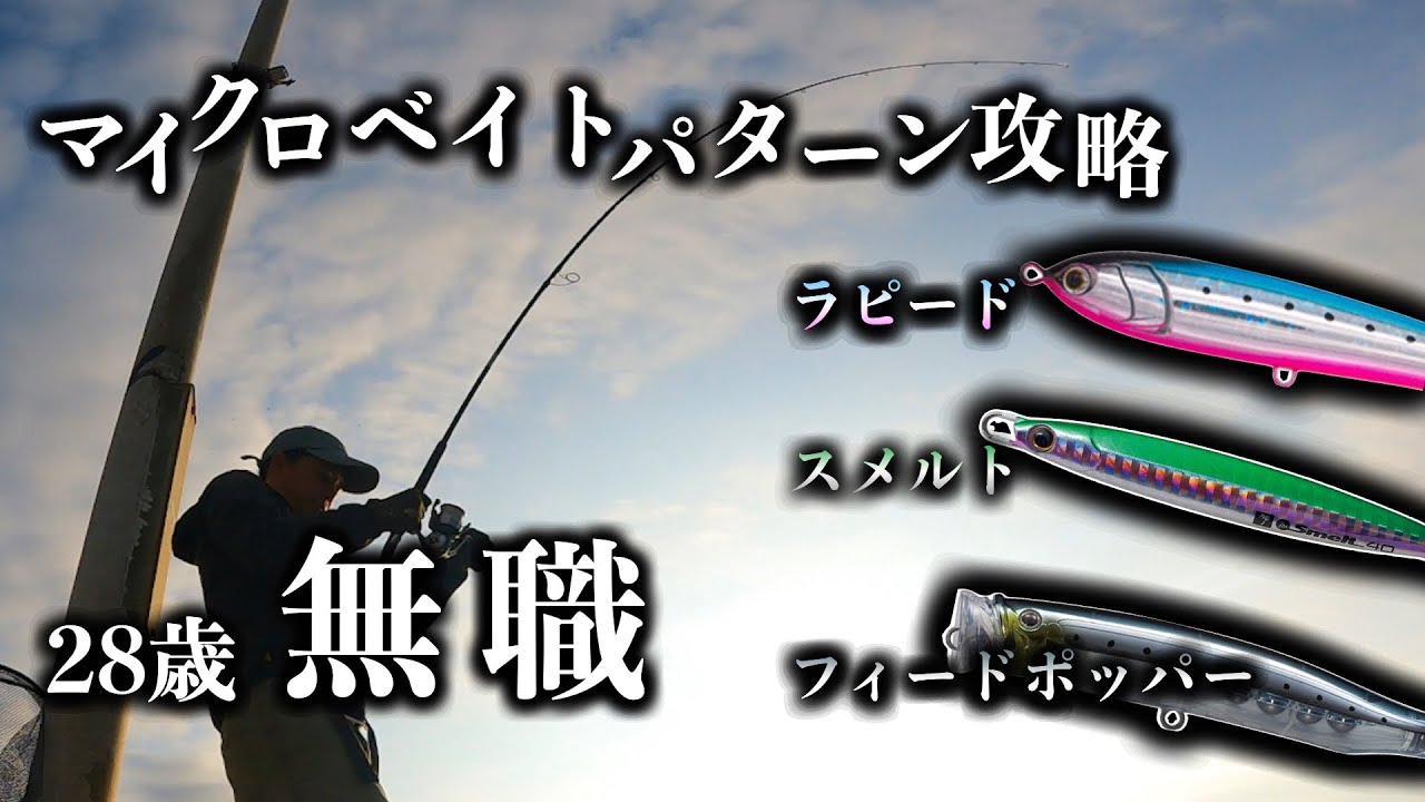 【ショアジギング】家なし無職、マイクロベイトパターンを完全攻略。ラピードとフィードポッパーで大型青物と激闘！