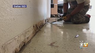 Winter Storm Damage Cleanup Continues At Dallas ISD
