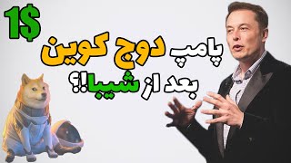 پیش بینی پامپ دوج کوین بعد از ارز شیبا