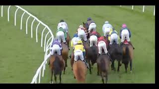 Take Your Time- Lingfield 10/11/20 screenshot 4
