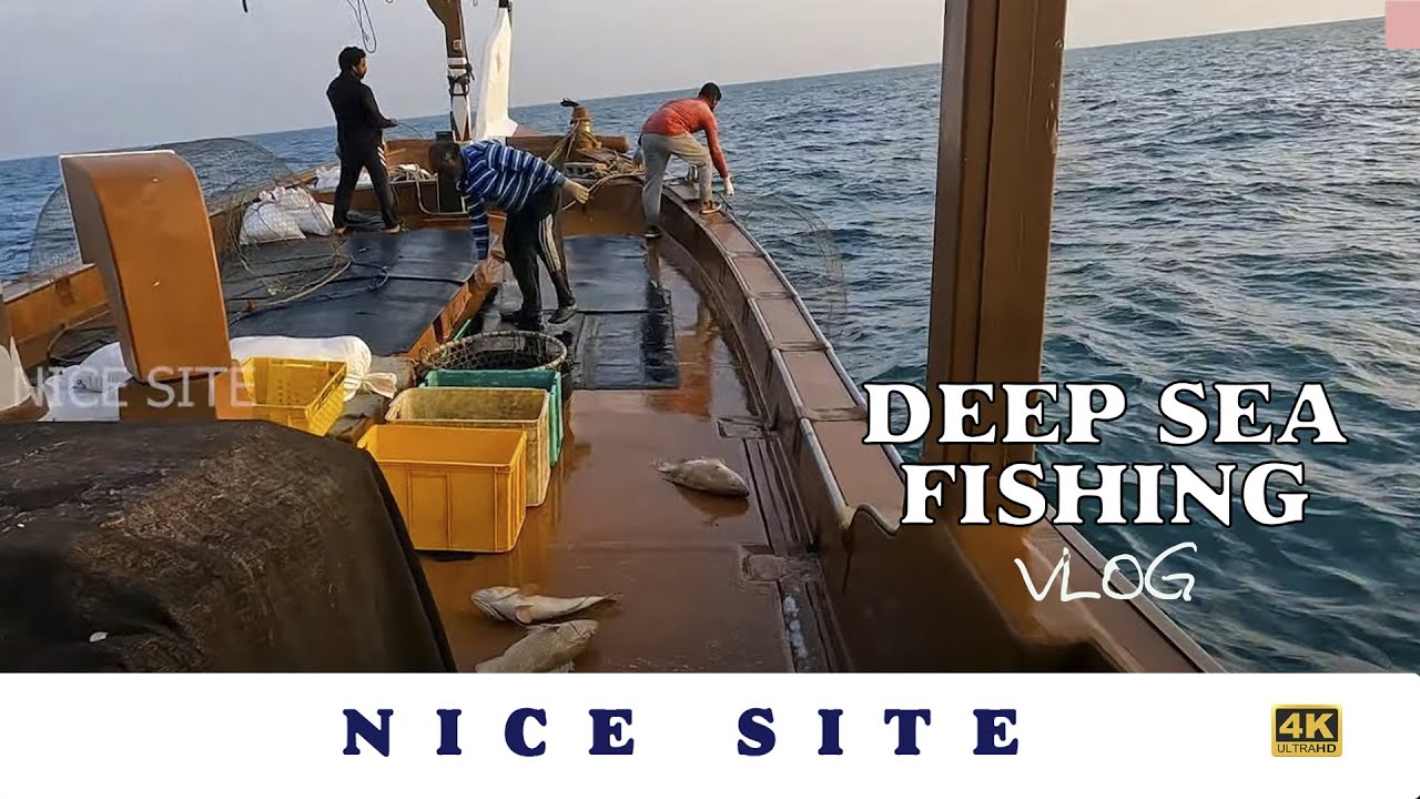 Deep Sea Fishing Vlog In Qatar
