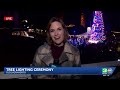 Old Sacramento rings in holidays with tree lighting