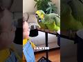 Don't touch my wife #ViralShorts #ComedyShort #FunnyBird #TalkingParrot #MemeVideo #LOL #funnyparrot