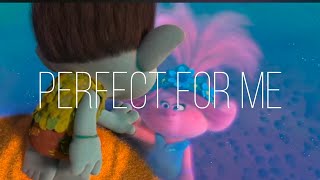 perfect for me-lyrics trolly