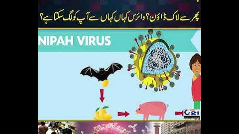 Nipah Virus Spread in Pakistan | Govt Ready To Imposed Lock Down? | City 21