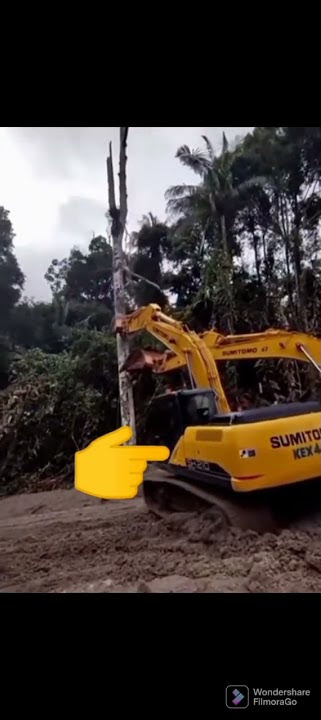 Dua excavator ini tak mampu merobohkan pohon yang sudah kering