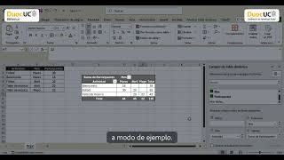 13. Aplicación de filtros en tablas dinámicas 📊