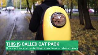 upet cat backpack