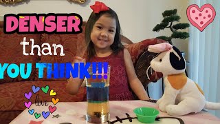 LIQUID DENSITY EXPERIMENT || #9 Science Experiment