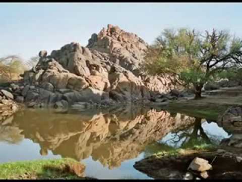 الفاتح حسين ام در ياربوع