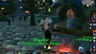 WoW Stormwind Glitch