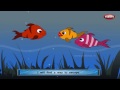Three Fish | Panchatantra English Stories | Stories For Kids | Stories For Children HD